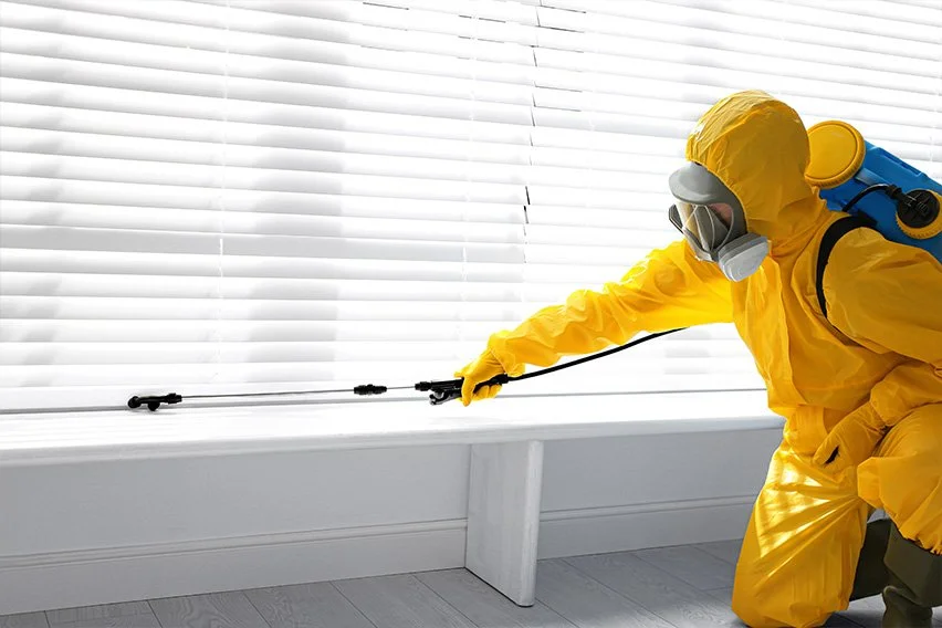 How To Prepare Your Home For Pest Control?